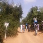 Philip Kyeremanteng: Why Achimota Forest must be reserved