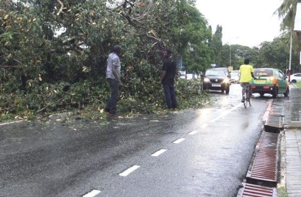 Several uprooted trees cause congestion in parts of Accra after downpour