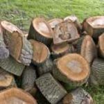 Green Ghana Day: Citizenry cautioned against indiscriminate tree cutting