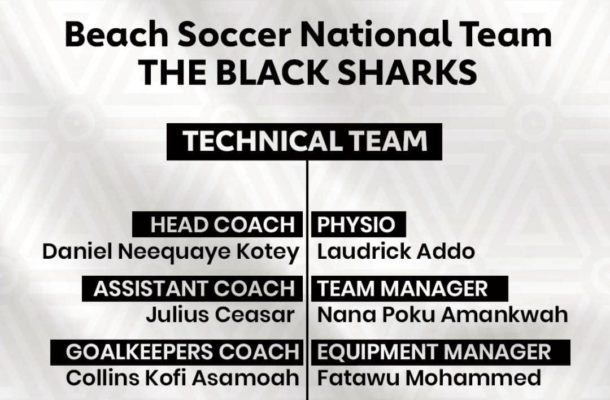 Black Sharks technical team announced