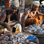 How fishers and fishmongers are battling for survival on the frontier of climate change in Ghana