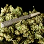 Supreme Court declares law on licence to grow cannabis in Ghana unconstitutional