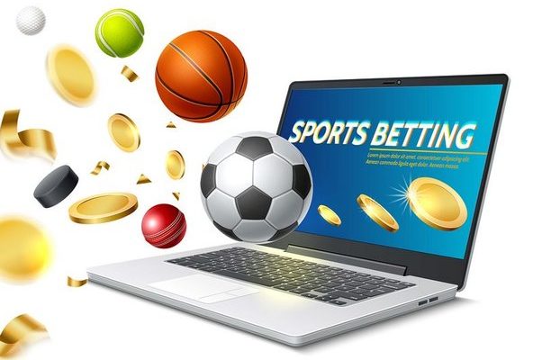 The Betting Software Provider is Key to Maximizing Your Betting Company Profits