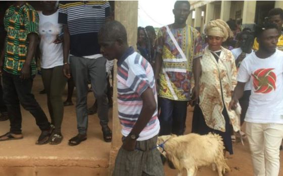 PHOTOS: Man who had sex with 3 daughters provides sheep, schnapps for purification rites