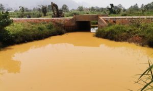 Kwesi Yankah writes: The Birim River is gone!