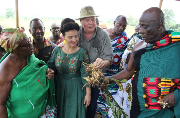 Okyenhene introduces illegal miners to 'new gold' to sustain the environment