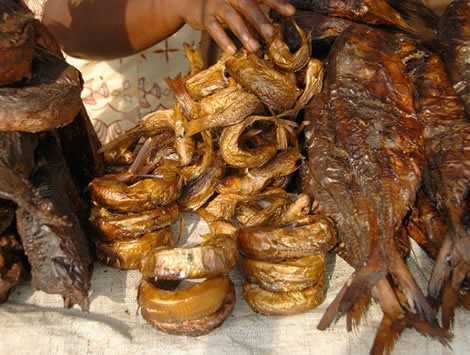 Fish prices to go up over Premix Fuel Scarcity - Deputy Volta Chief Fisher