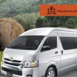 Why You Should Use a Shuttle to Visit Pilanesberg National Park
