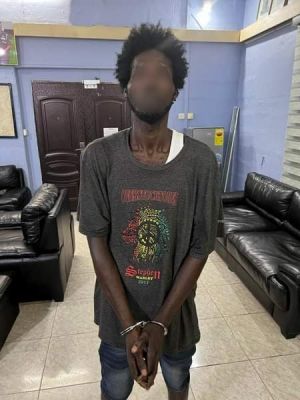 Suspect in theft of Rapper Meek Mill's phone remanded