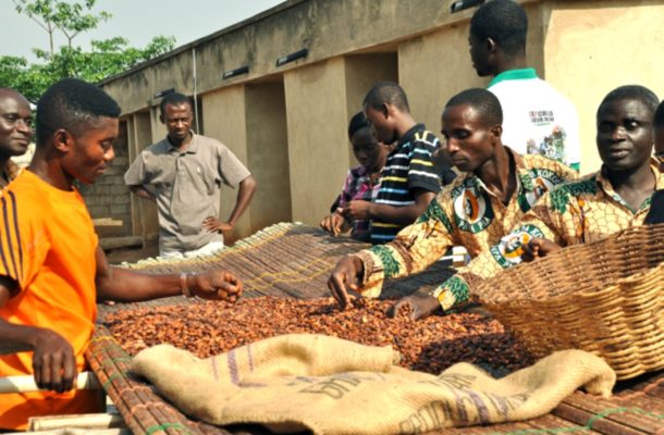 Cocoa prices likely to move downward – ICCO