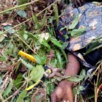 C/R: Labourer killed and dumped by roadside at Assin Dominase