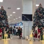 Cost of Christmas trees at KIA in 2021 was GH¢128k – Transport Ministry