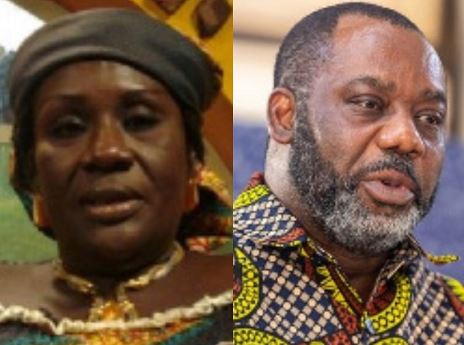 I don’t think NAPO is fit to be vice president – Frances Asiam fires