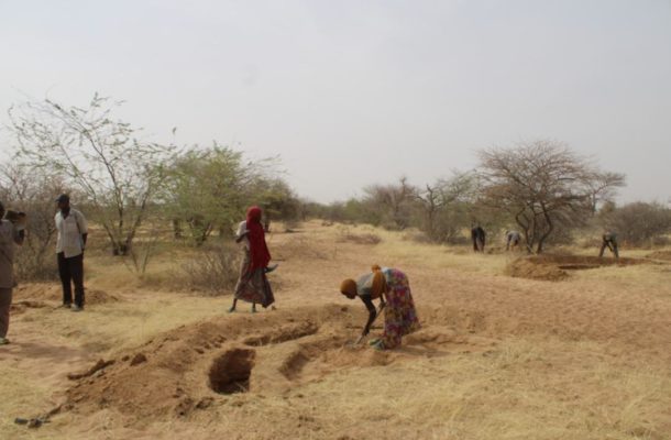 How land restoration is reshaping Niger’s future