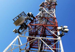 Agribusiness Chamber calls for free, subsidised telecom services for farmers