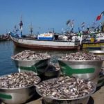 Artisanal fishermen urged to comply with closed season directives