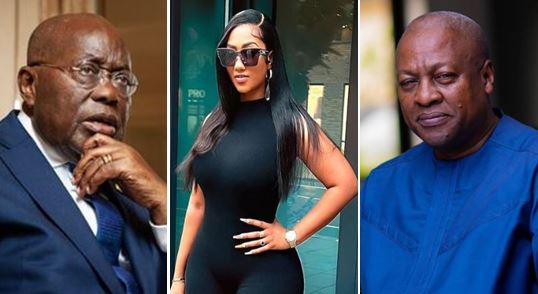 Mahama, Akufo Addo blamed for Hajia4reall's arrest