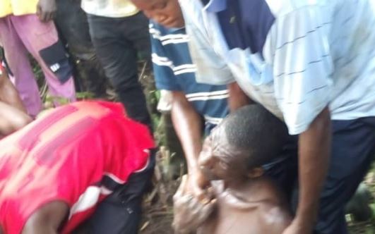 C/R: 48 year-old Chainsaw Operator killed by falling tree at Twifu Mintaso