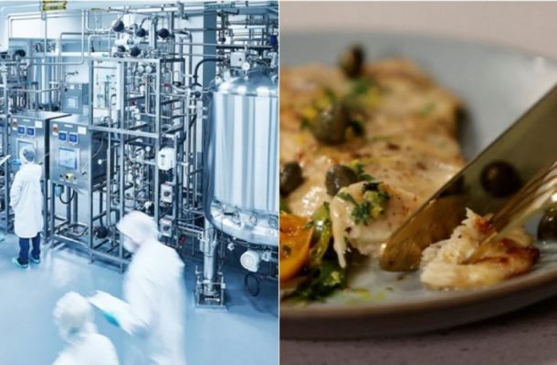 A New Culinary Frontier: Lab-Grown Meat Approved for Sale in the US