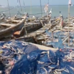 Tema youth association to organise peaceful demo over bizarre death of fishermen