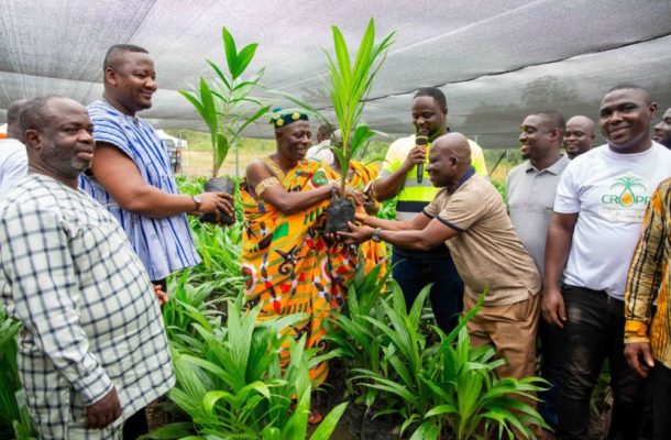 AngloGold Ashanti distributes 30,000 oil palm seedlings to farmers in five districts
