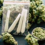 Supreme Court’s ruling on cannabis cultivation a grievous error – Govt