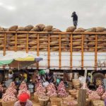 Onion traders seek government support amidst Benin border closure