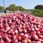 Onion sellers stranded at Benin over border closure; demand Akufo-Addo’s intervention