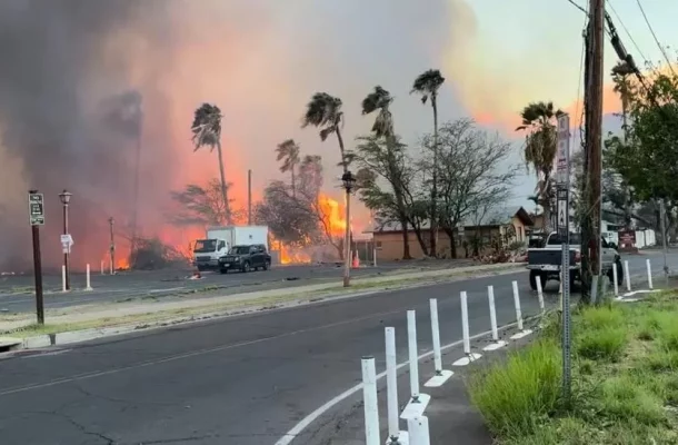 Hawaii fires: At least 36 killed as flames sweep through Maui