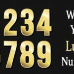 The Science Of Lucky Numbers
