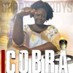 Viral ‘Cobra song’ connects with Alan’s resignation, Ken Agyapong’s NPP 'expose' – Fredyma
