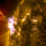 "Solar Activity Surges Ahead: Implications for Space Weather Forecasts in 2024"