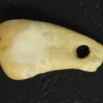 Unraveling the Past: Decoding Ancient Human DNA from a 20,000-Year-Old Pendant