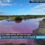 Enchanting Pink Phenomenon: Hawaii's Kealia Lake Transforms Amidst Extreme Drought