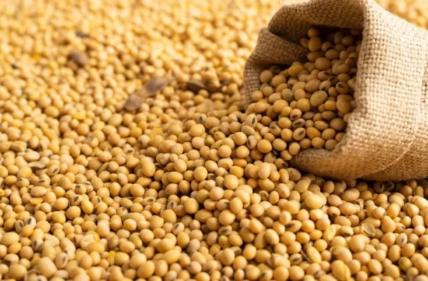 Brazil Makes History: 100% Soybean Oil Transformed into Biofuel