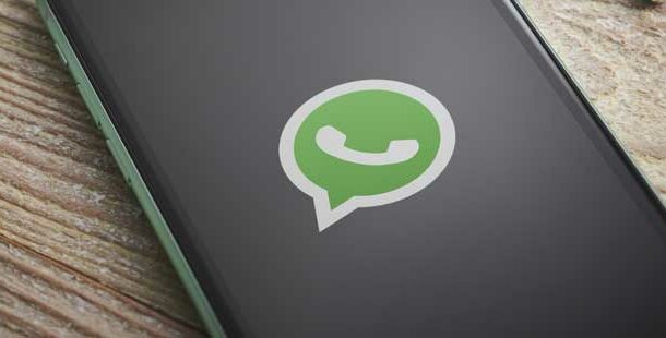 WhatsApp's Personalized Palette: A Colorful Revolution for User Experience