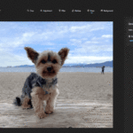 Microsoft Revolutionizes Photo Editing with AI Integration in Windows