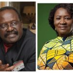 Kwesi Ahwoi advises Prof. Opoku-Agyemang to prepare herself to be president