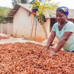 Don’t cheat cocoa farmers, it’s unethical