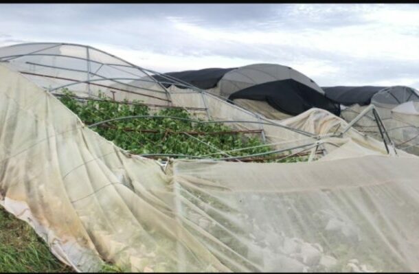 Severe rainstorm in Ketu North wrecks farm, puts over 150 jobs at risk