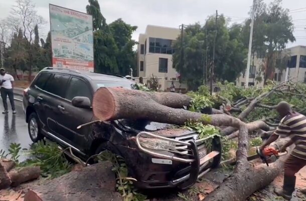 One person in critical condition as tree falls on motorbike after heavy rains (Video)