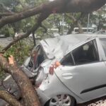Several vehicles destroyed as trees fall on them during heavy downpour [Video]