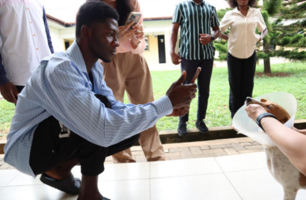 Ghana tackles rabies with innovative tech; a game changer for pet ...