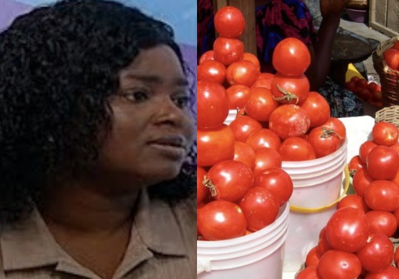 Tomato prices are high because of coronavirus — NPP's Sandra Addo