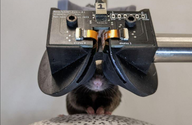  Smart Digital Glasses for Mice Could Unlock Key Insights Into Human Diseases