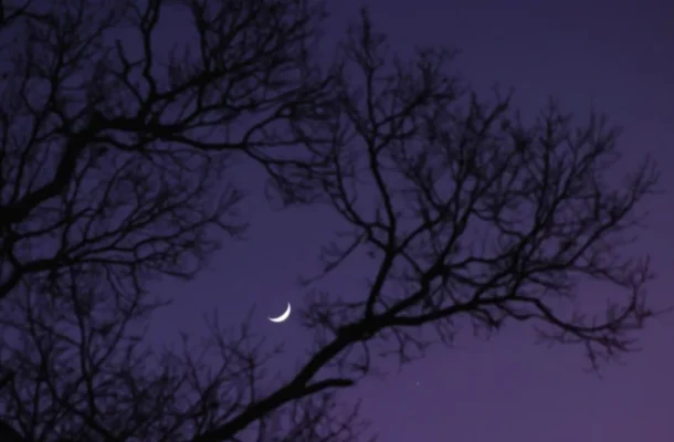  The Moon and Aphrodite Shine Together in a Rare Celestial Display