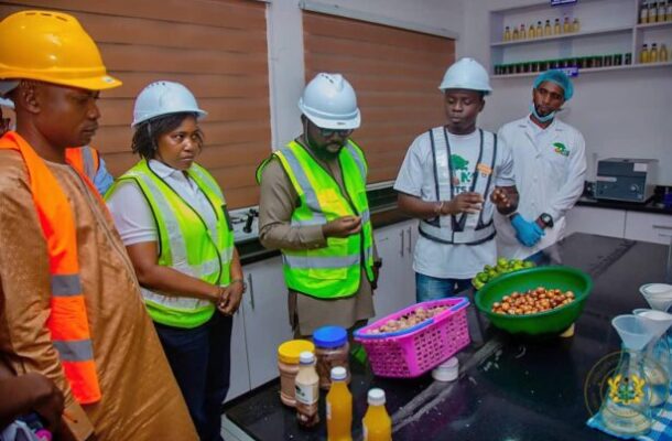 Gov’t targets Shea industry revival to boost employment and rural growth -  Dr Otokunor