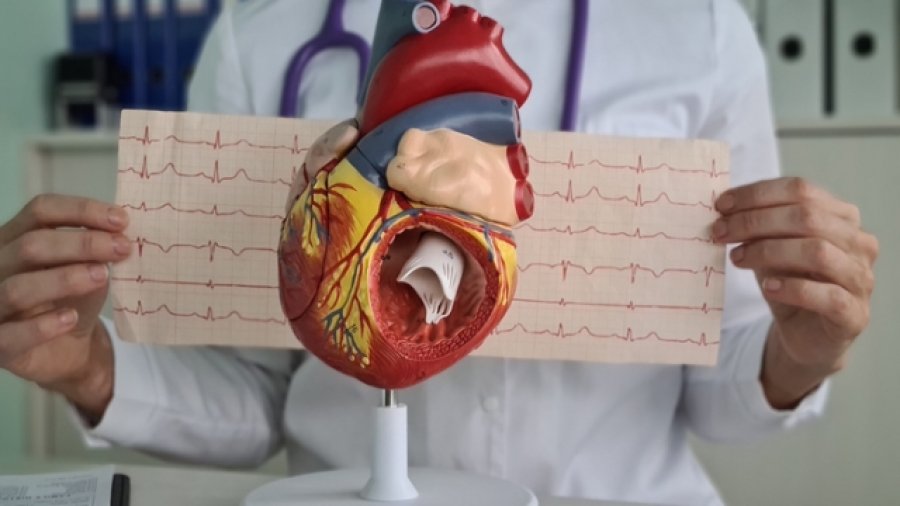 Genetic Mutation Linked to Sudden Death Uncovered by Milan Scientists