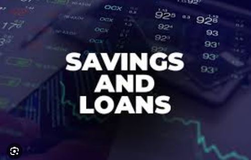Savings and Loans sector records strong growth, boosting MSME financing