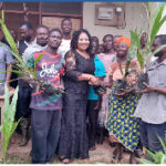 Atwima Kwanwoma DCE distributes 9,000 Oil Palm seedlings to farmers